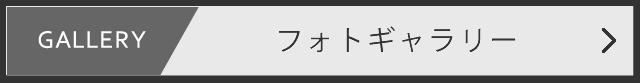 GALLERY フォトギャラリー